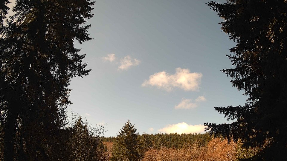 Pacific Northwest skyline timelapse frame from Mar 28th, 2026 at 11:15 AM