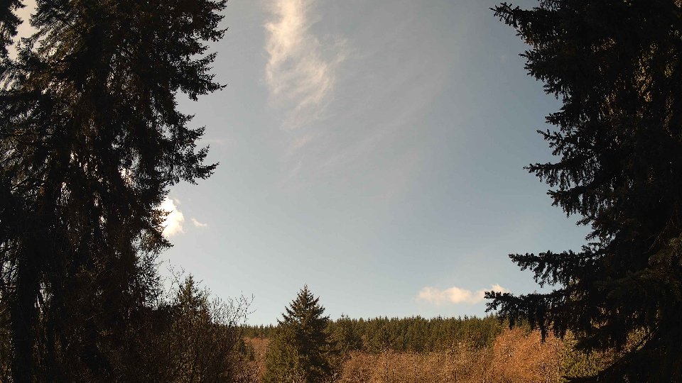 Pacific Northwest skyline timelapse frame from Mar 28th, 2026 at 11:45 AM