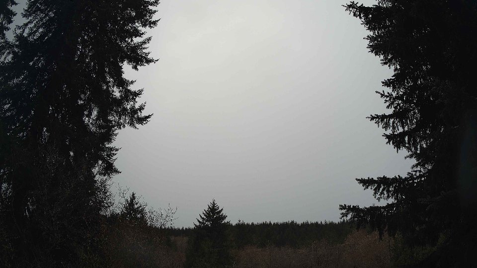 Pacific Northwest skyline timelapse frame from Mar 29th, 2026 at 8:00 AM