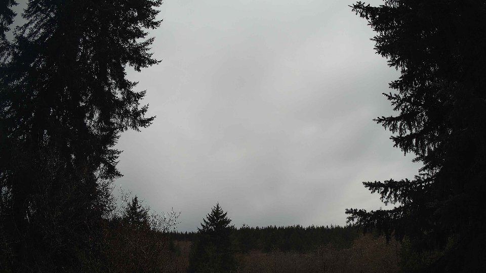 Pacific Northwest skyline timelapse frame from Mar 29th, 2026 at 9:00 AM