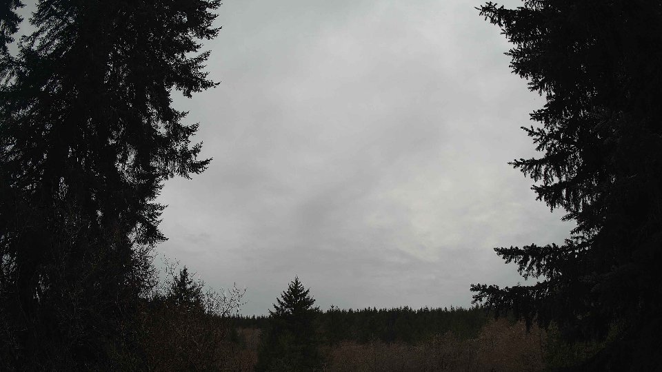 Pacific Northwest skyline timelapse frame from Mar 29th, 2026 at 9:30 AM