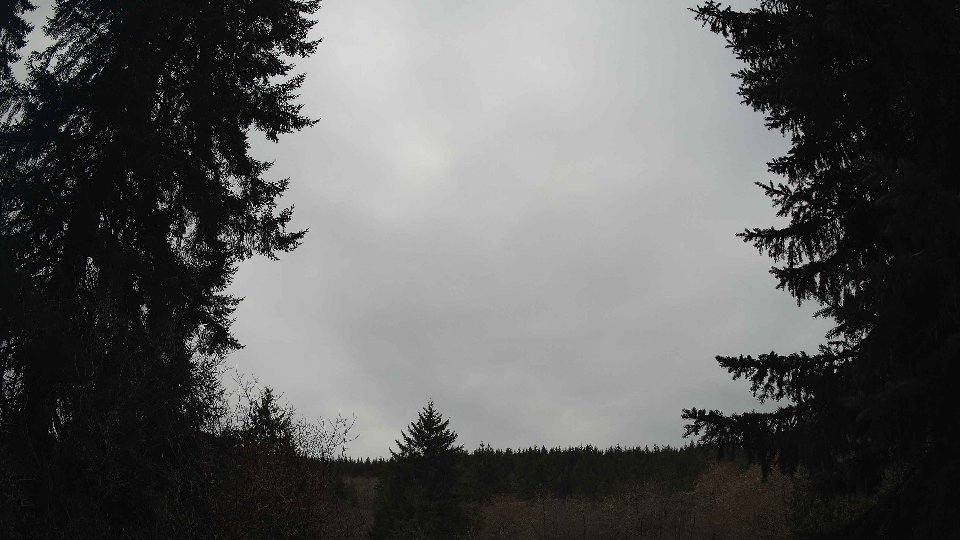 Pacific Northwest skyline timelapse frame from Mar 29th, 2026 at 10:30 AM