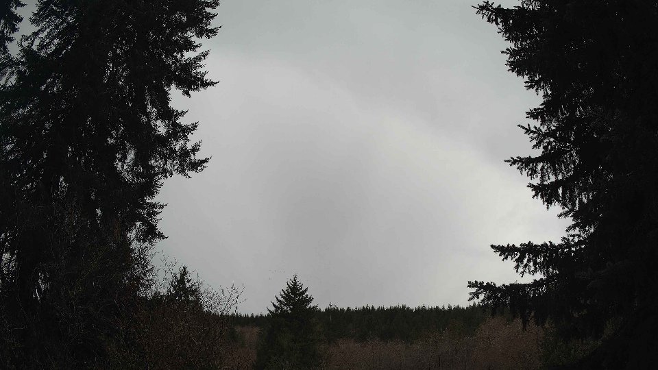 Pacific Northwest skyline timelapse frame from Mar 29th, 2026 at 11:00 AM