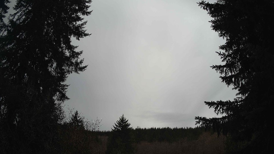 Pacific Northwest skyline timelapse frame from Mar 29th, 2026 at 11:15 AM
