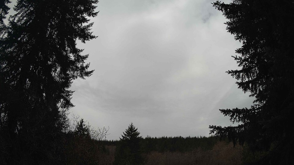Pacific Northwest skyline timelapse frame from Mar 29th, 2026 at 11:30 AM