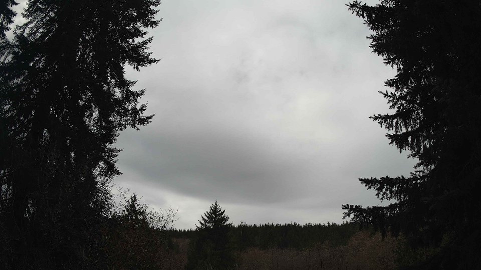 Pacific Northwest skyline timelapse frame from Mar 29th, 2026 at 11:45 AM