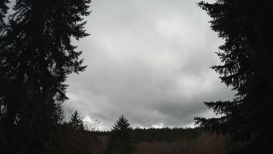 Pacific Northwest skyline timelapse frame from Mar 29th, 2026 at 12:30 PM