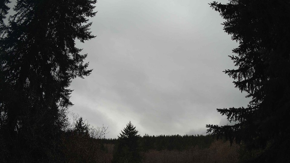 Pacific Northwest skyline timelapse frame from Mar 29th, 2026 at 1:15 PM
