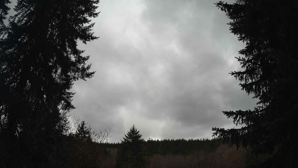 Pacific Northwest skyline timelapse frame from Mar 29th, 2026 at 2:00 PM