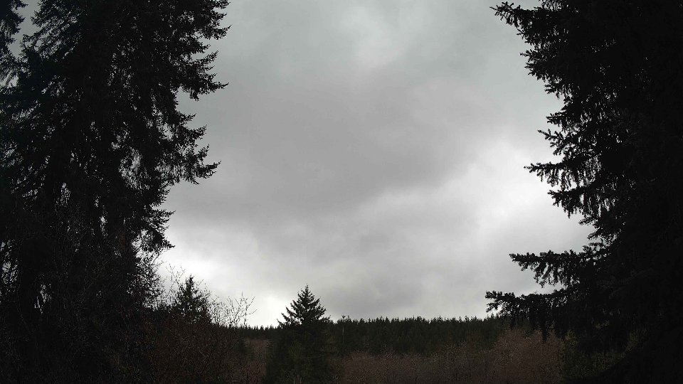 Pacific Northwest skyline timelapse frame from Mar 29th, 2026 at 2:15 PM