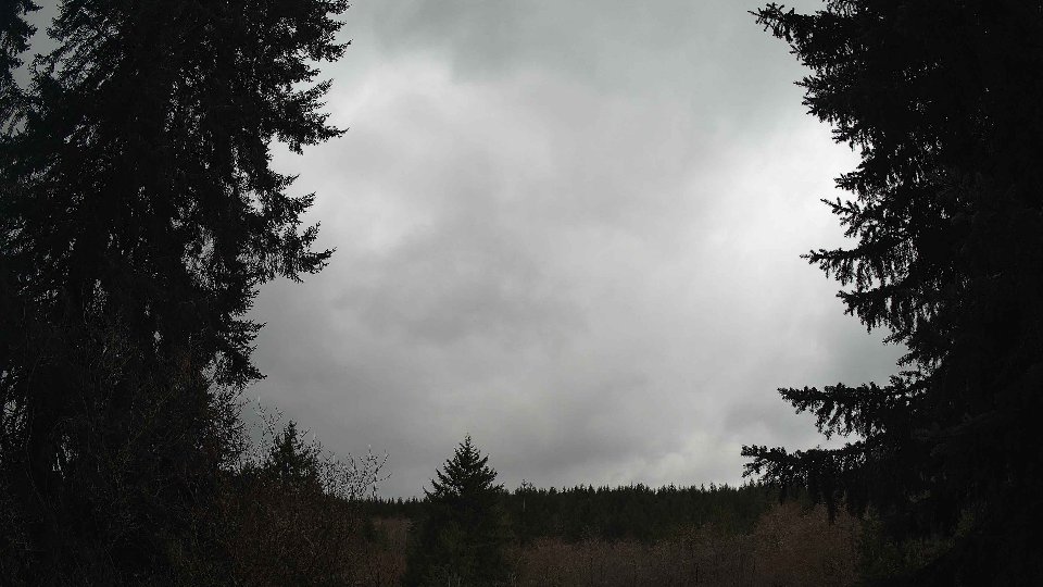 Pacific Northwest skyline timelapse frame from Mar 29th, 2026 at 2:30 PM