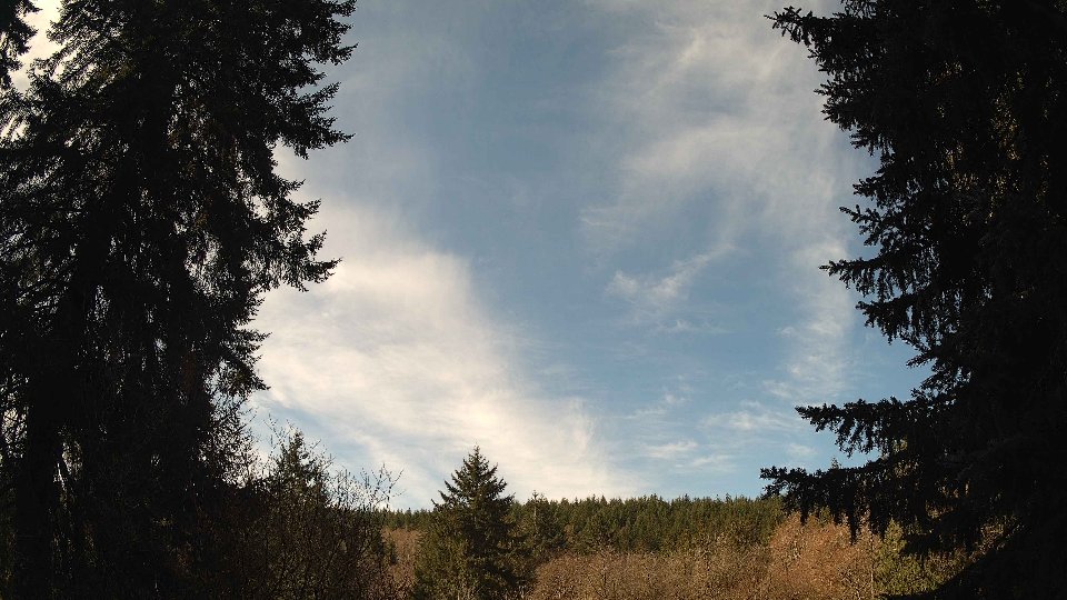 Pacific Northwest skyline timelapse frame from Mar 30th, 2026 at 11:00 AM