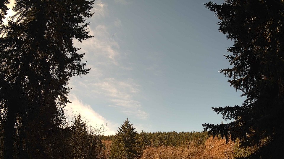Pacific Northwest skyline timelapse frame from Mar 30th, 2026 at 11:15 AM