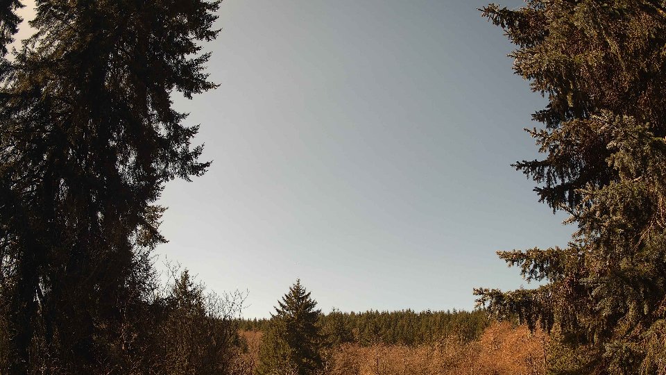 Pacific Northwest skyline timelapse frame from Mar 30th, 2026 at 12:15 PM