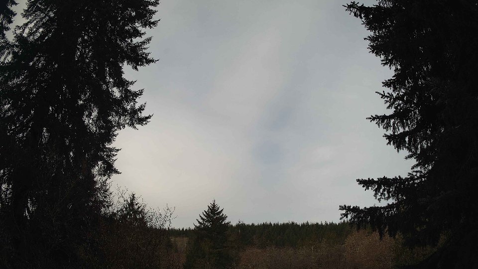 Pacific Northwest skyline timelapse frame from Mar 31st, 2026 at 8:30 AM
