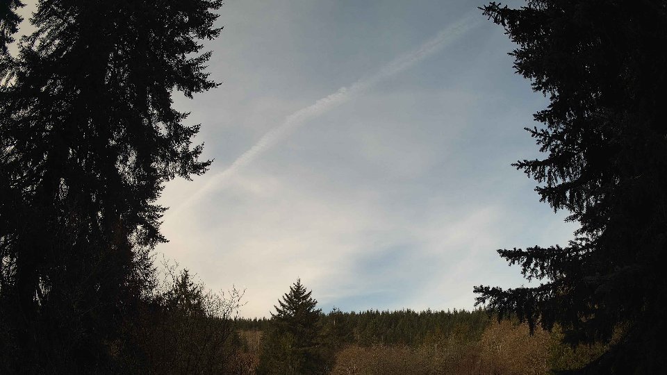 Pacific Northwest skyline timelapse frame from Mar 31st, 2026 at 9:00 AM