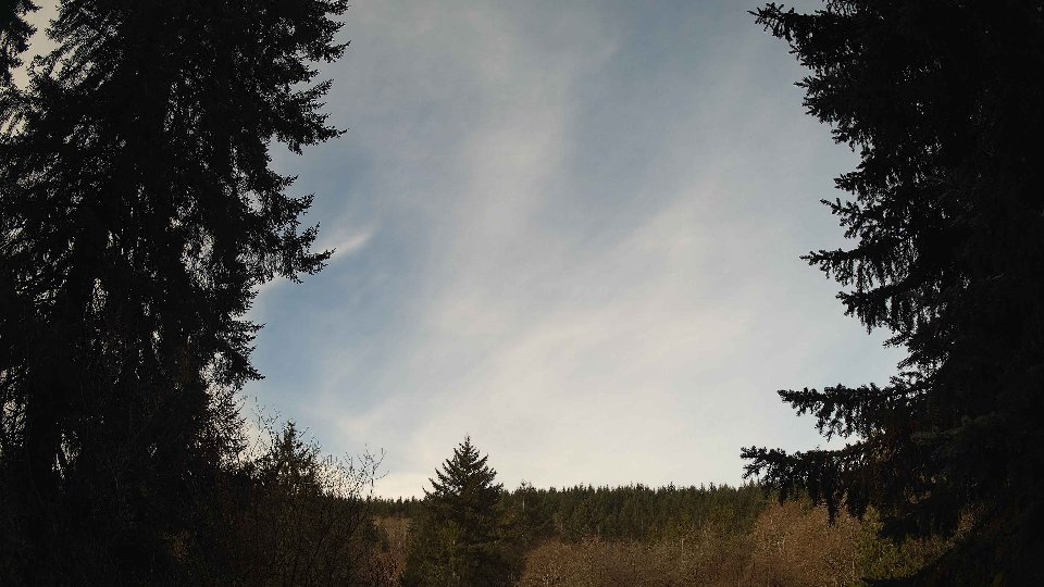 Pacific Northwest skyline timelapse frame from Mar 31st, 2026 at 9:15 AM