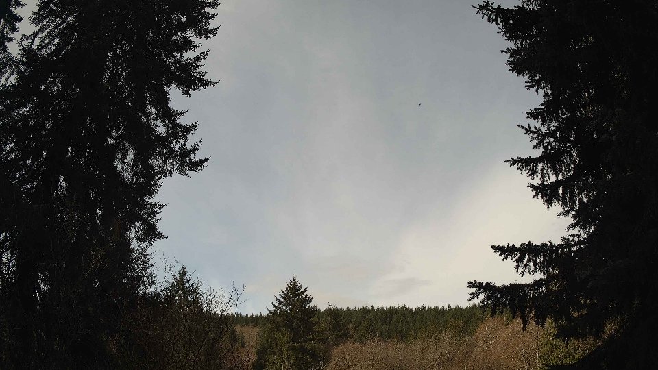 Pacific Northwest skyline timelapse frame from Mar 31st, 2026 at 10:30 AM