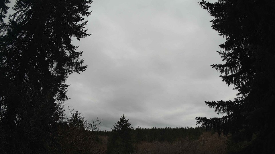 Pacific Northwest skyline timelapse frame from Mar 31st, 2026 at 11:15 AM