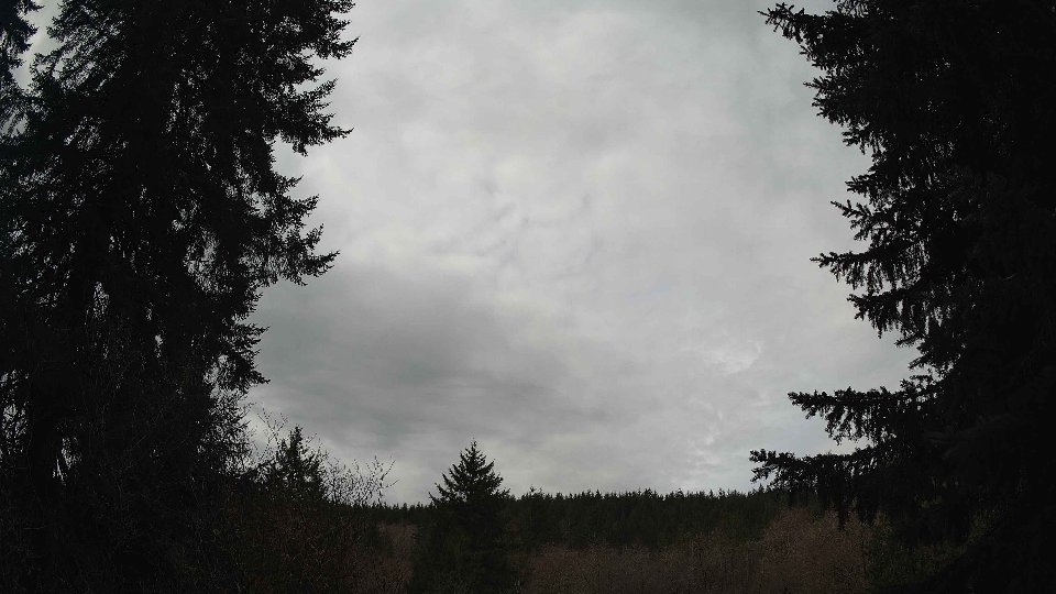Pacific Northwest skyline timelapse frame from Mar 31st, 2026 at 11:45 AM