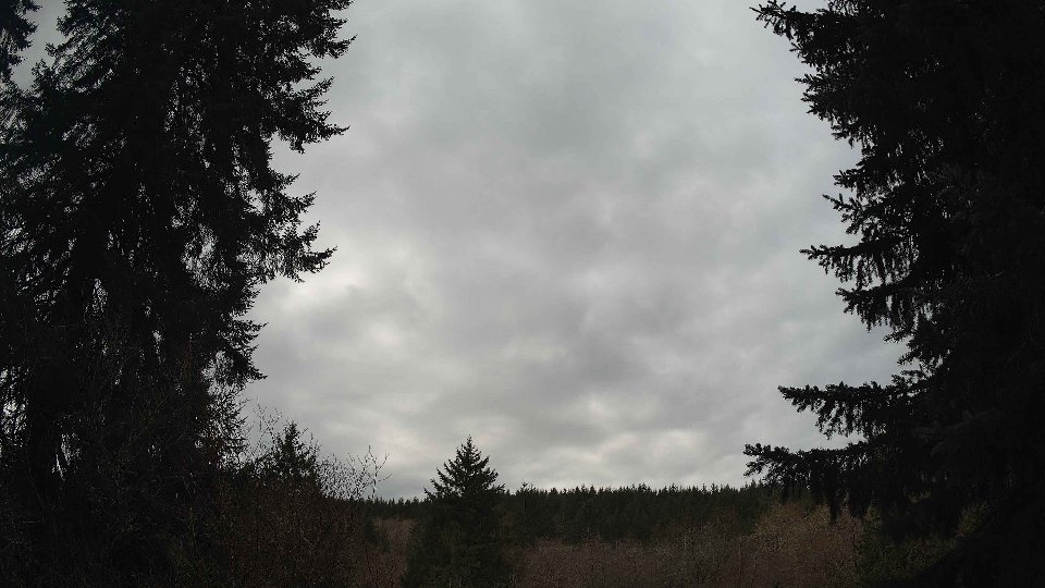 Pacific Northwest skyline timelapse frame from Mar 31st, 2026 at 12:00 PM