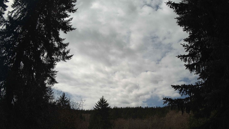 Pacific Northwest skyline timelapse frame from Mar 31st, 2026 at 12:30 PM