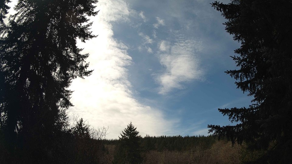 Pacific Northwest skyline timelapse frame from Mar 31st, 2026 at 12:45 PM