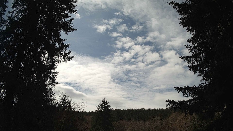 Pacific Northwest skyline timelapse frame from Mar 31st, 2026 at 1:30 PM