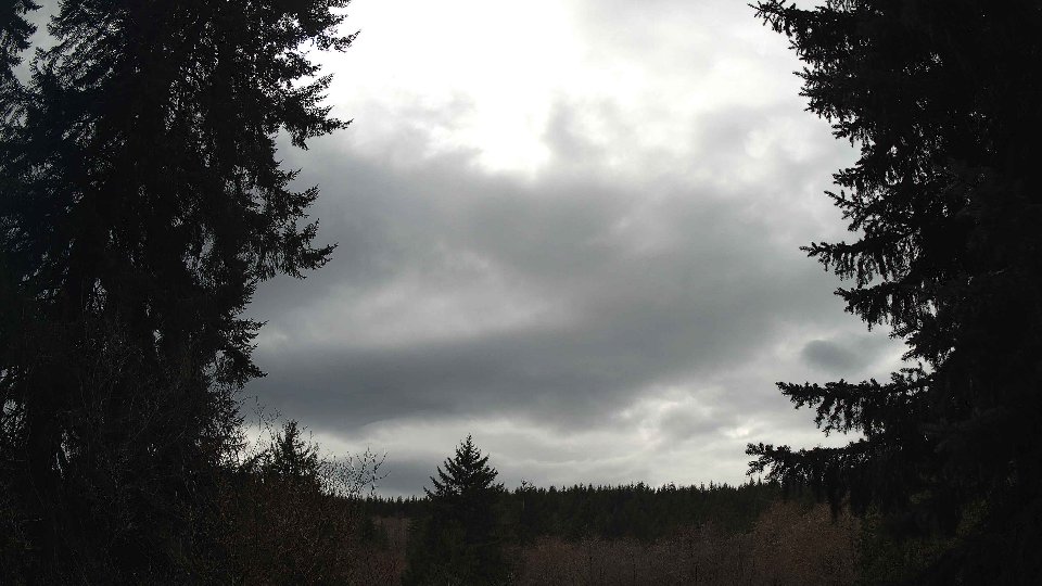 Pacific Northwest skyline timelapse frame from Mar 31st, 2026 at 2:15 PM