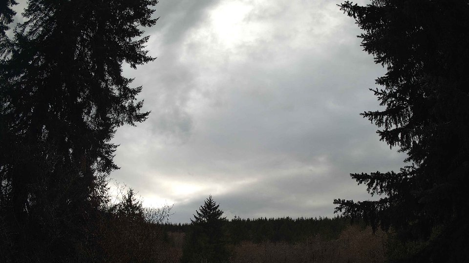 Pacific Northwest skyline timelapse frame from Mar 31st, 2026 at 5:15 PM