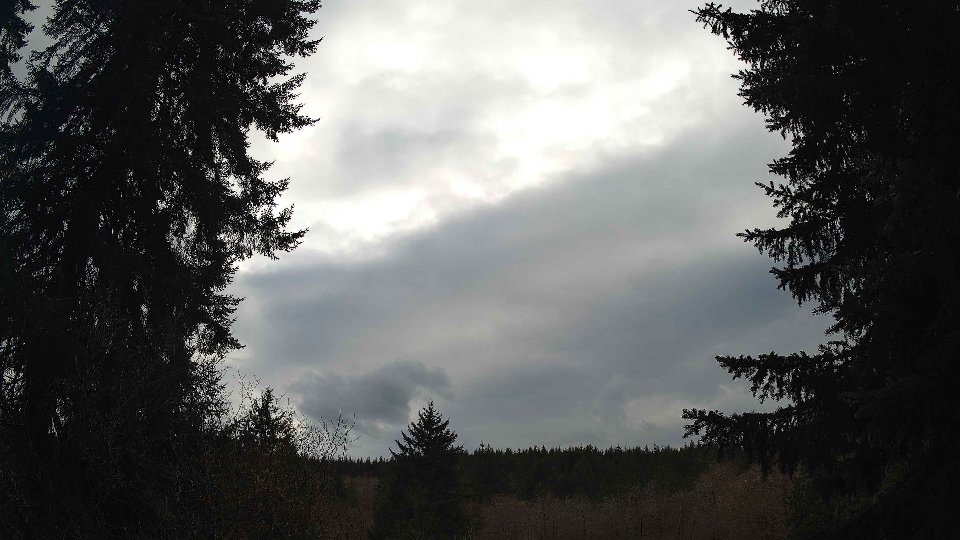 Pacific Northwest skyline timelapse frame from Mar 31st, 2026 at 5:30 PM