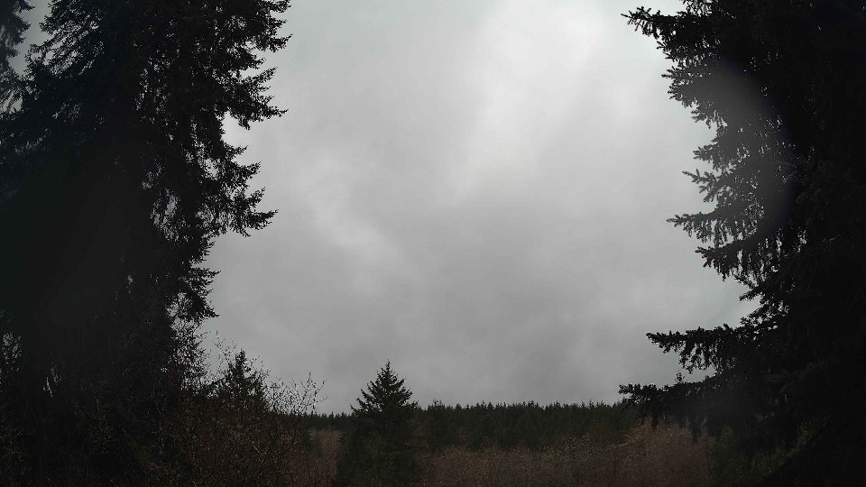 Pacific Northwest skyline timelapse on Apr 01, 2026 at 7:45 AM