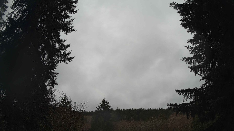 Pacific Northwest skyline timelapse on Apr 01, 2026 at 8:00 AM