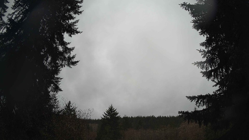 Pacific Northwest skyline timelapse on Apr 01, 2026 at 8:30 AM