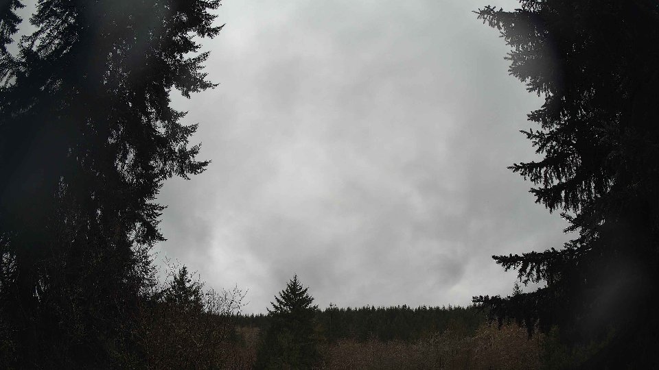Pacific Northwest skyline timelapse on Apr 01, 2026 at 9:00 AM