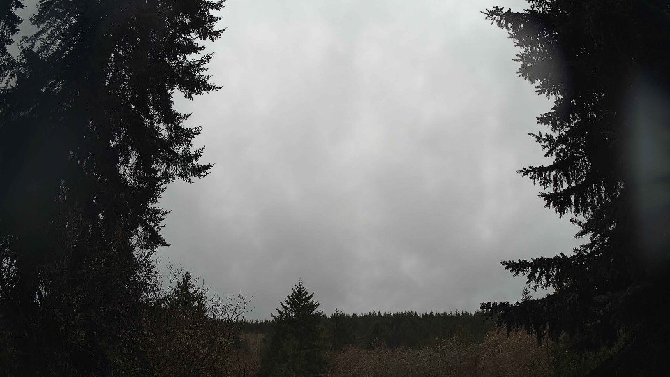 Pacific Northwest skyline timelapse on Apr 01, 2026 at 9:15 AM