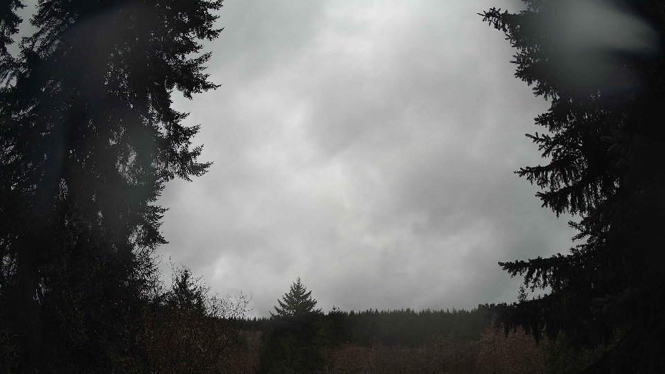 Pacific Northwest skyline timelapse on Apr 01, 2026 at 1:30 PM