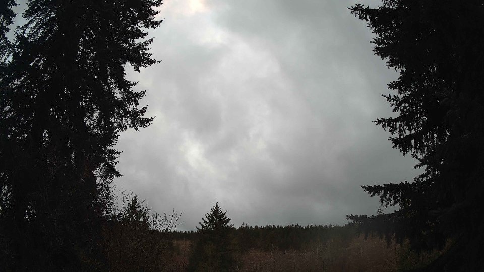 Pacific Northwest skyline timelapse on Apr 01, 2026 at 7:30 PM