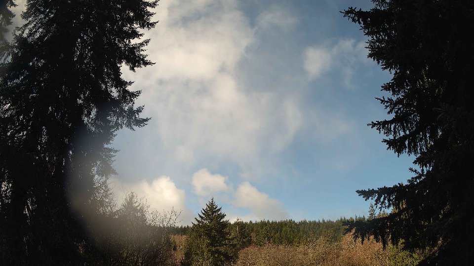 Pacific Northwest skyline timelapse frame from Apr 2nd, 2026 at 10:00 AM