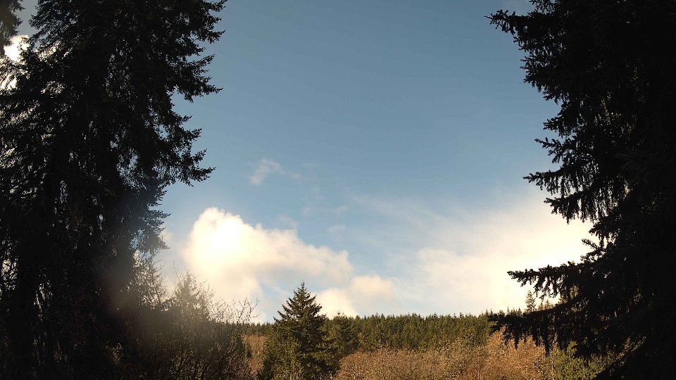Pacific Northwest skyline timelapse frame from Apr 2nd, 2026 at 10:15 AM