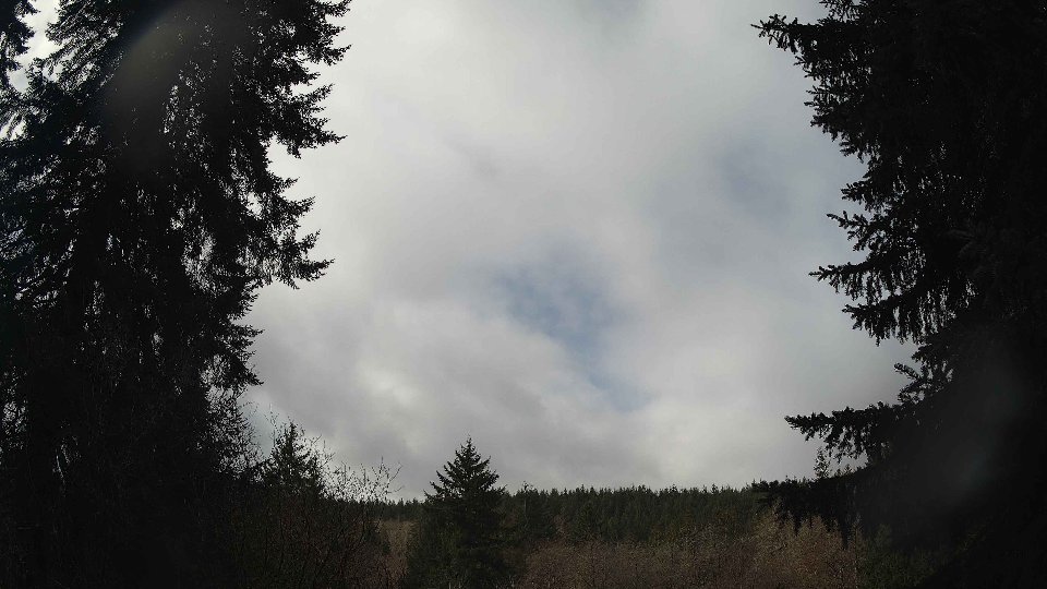 Pacific Northwest skyline timelapse frame from Apr 2nd, 2026 at 11:00 AM