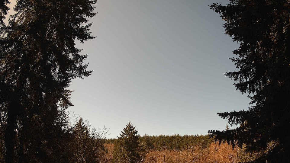 Pacific Northwest skyline timelapse frame from Apr 2nd, 2026 at 11:45 AM