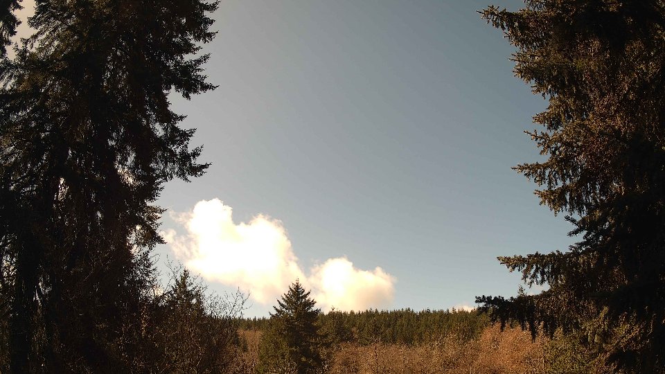 Pacific Northwest skyline timelapse frame from Apr 2nd, 2026 at 12:00 PM