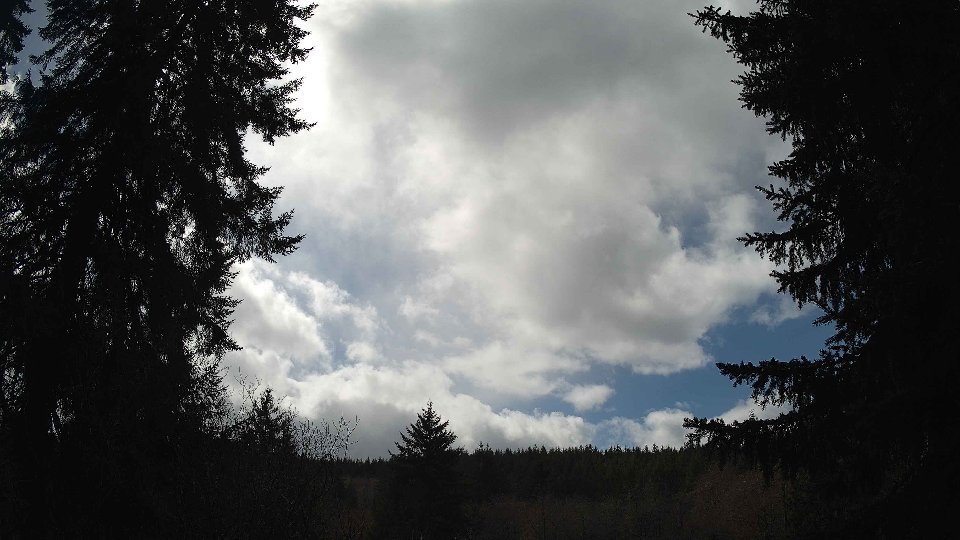 Pacific Northwest skyline timelapse frame from Apr 2nd, 2026 at 1:30 PM