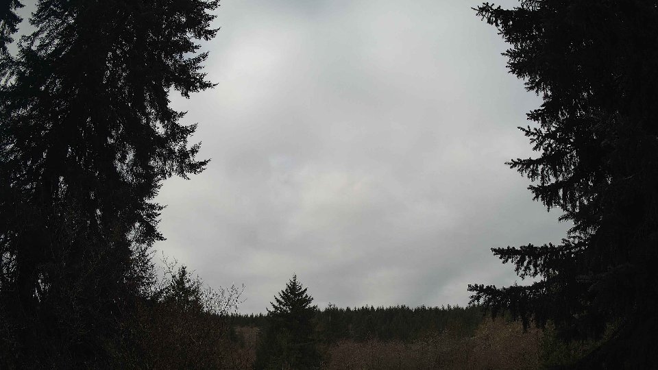 Pacific Northwest skyline timelapse frame from Apr 3rd, 2026 at 9:15 AM