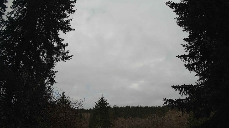 Pacific Northwest skyline timelapse frame from Apr 3rd, 2026 at 9:45 AM