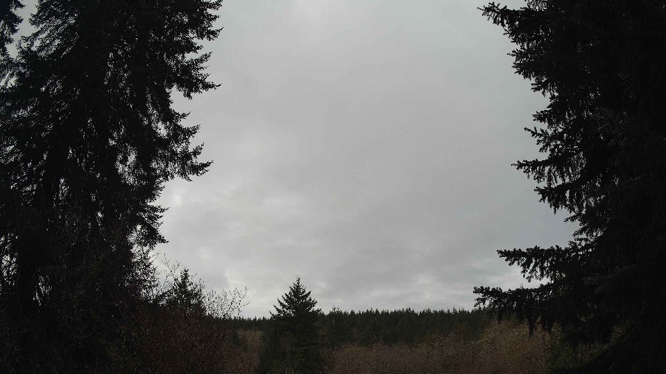 Pacific Northwest skyline timelapse frame from Apr 3rd, 2026 at 10:15 AM