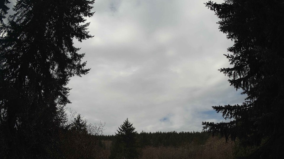 Pacific Northwest skyline timelapse frame from Apr 3rd, 2026 at 10:30 AM