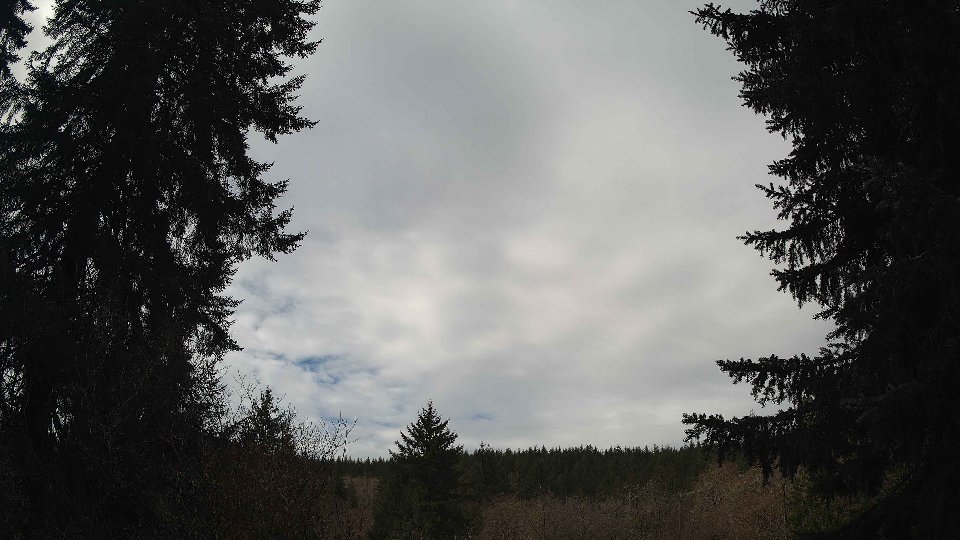 Pacific Northwest skyline timelapse frame from Apr 3rd, 2026 at 10:45 AM