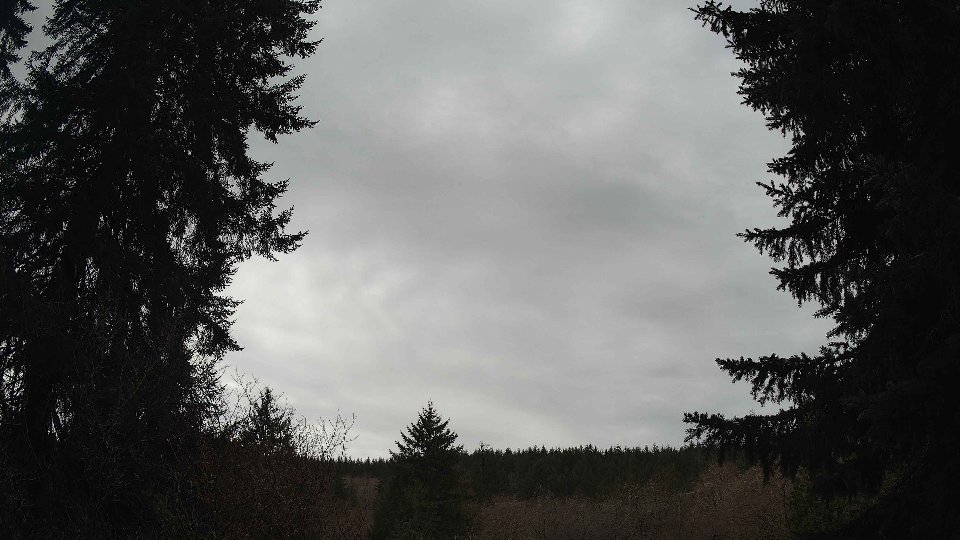 Pacific Northwest skyline timelapse frame from Apr 3rd, 2026 at 11:00 AM